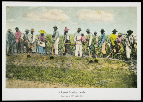 Markarbejde, St. Croix