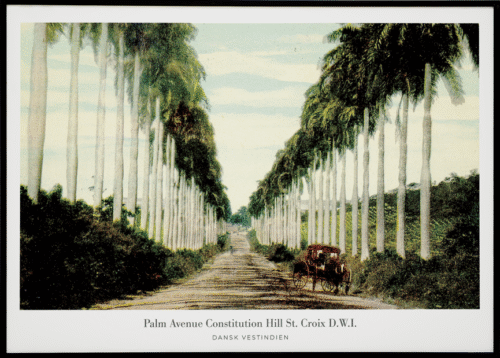 Palm Avenue Constitution Hill, St. Croix