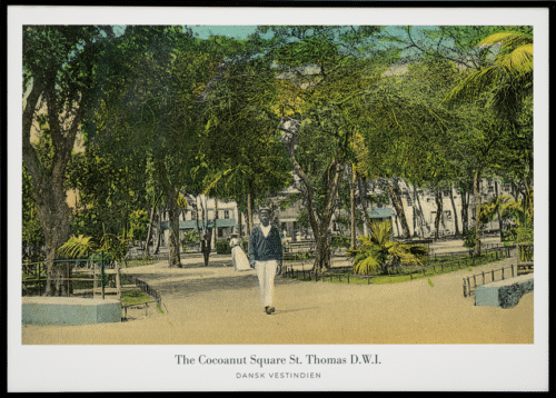 The Cocoanut Square St. Thomas